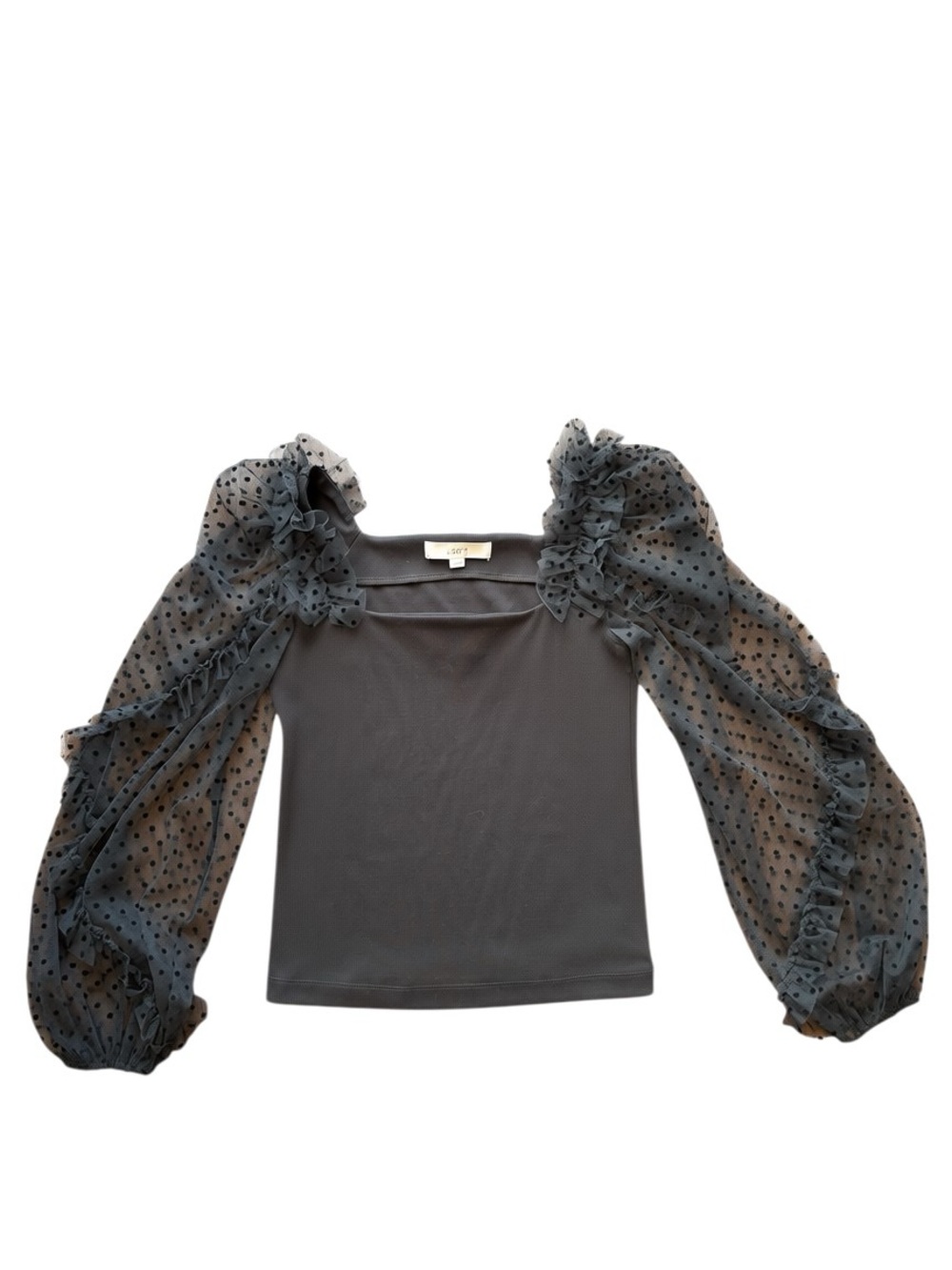 Loft Black Mesh Balloon Sleeve Coquette Noir Dark Academia Swiss Dot Ruffle